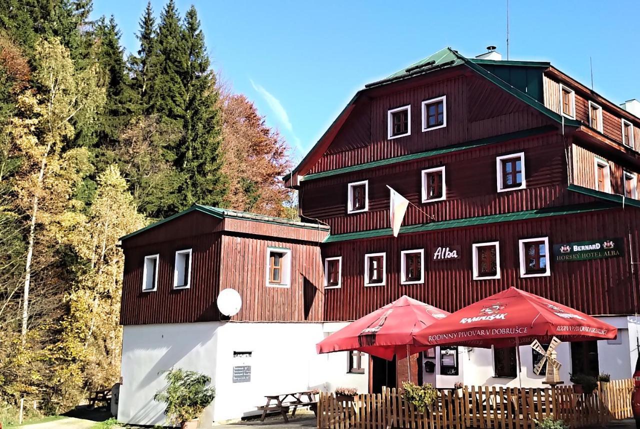 Hotel Alba Destne v Orlickych horach Exterior foto